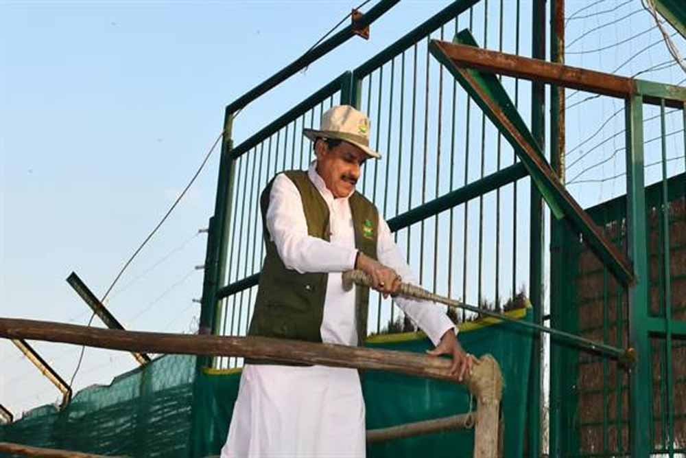 कान्हा टाइगर रिजर्व में 100 साल बाद लौटी जंगली भैंसों की रौनक, CM मोहन यादव ने 8 भैंसों को छोड़ा कान्हा टाइगर रिजर्व में 100 साल बाद लौटी जंगली भैंसों की रौनक, CM मोहन यादव ने 8 भैंसों को छोड़ा