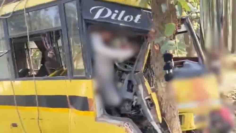 छत्तीसगढ़ में भीषण बस हादसा, पेड़ से टकराने पर 6 यात्रियों की मौत, 32 घायल छत्तीसगढ़ में भीषण बस हादसा, पेड़ से टकराने पर 6 यात्रियों की मौत, 32 घायल
