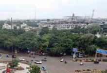 इंदौर में 182 हरे-भरे पेड़ों की कटाई को हाई कोर्ट की सशर्त मंजूरी, हजारों पक्षी होंगे प्रभावित