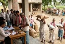 बिहार के किसानों को 100% अनुदान पर मिलेंगे उन्नत बीज, 15 नवंबर तक करें ऑनलाइन आवेदन