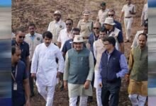 सीएम डॉ. मोहन यादव बोमा स्थल पहुंचे, कृष्णमृग और नीलगायों के स्थानांतरण अभियान का किया निरीक्षण