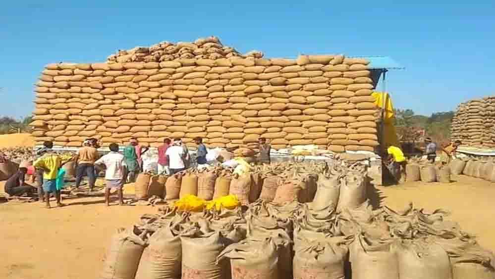 छत्तीसगढ़ में 15 नवंबर से धान खरीदी, ₹3100 MSP और 21 क्विंटल प्रति एकड़ की सीमा; जानें टोकन कैसे मिलेगा छत्तीसगढ़ में 15 नवंबर से धान खरीदी, ₹3100 MSP और 21 क्विंटल प्रति एकड़ की सीमा; जानें टोकन कैसे मिलेगा