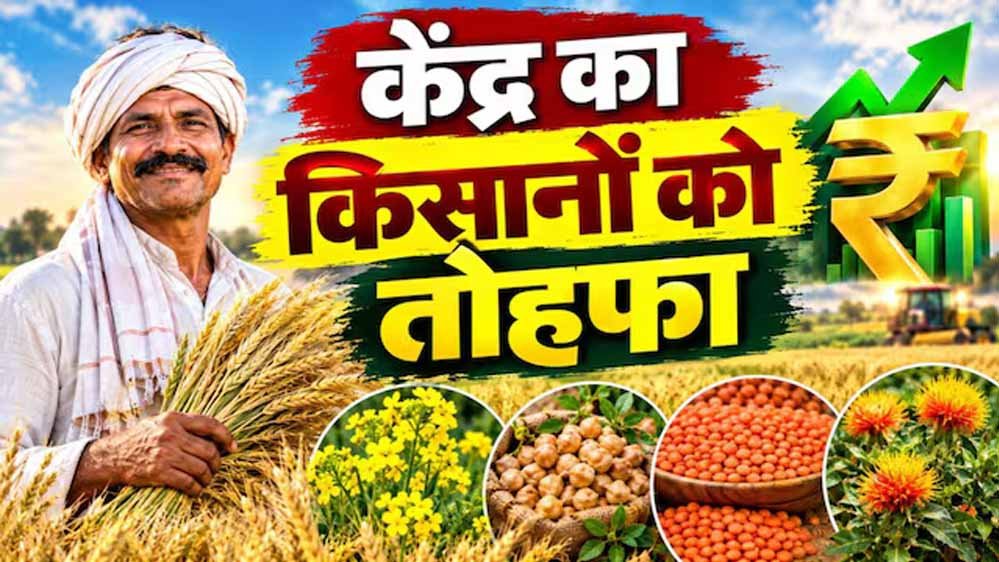 रबी फसलों के MSP में बढ़ोतरी, दलहन-तिलहन पर सरकार का खास जोर रबी फसलों के MSP में बढ़ोतरी, दलहन-तिलहन पर सरकार का खास जोर