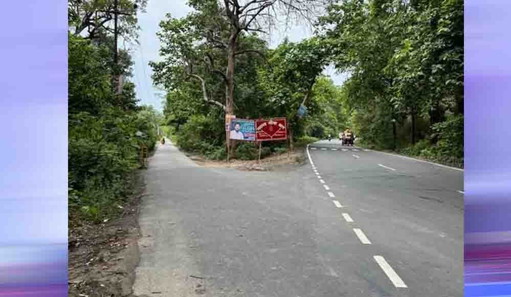 भोपाल के जंगलों से गुजरेंगी 60 मीटर चौड़ी सड़कें, बाघों के मूवमेंट पर मंडराया खतरा भोपाल के जंगलों से गुजरेंगी 60 मीटर चौड़ी सड़कें, बाघों के मूवमेंट पर मंडराया खतरा