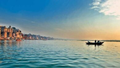 स्वच्छ गंगा: योगी सरकार के प्रयासों से आर्द्रभूमि संरक्षण को नई दिशा, गंगा पुनर्जीवन के लिए तेज हुआ वैज्ञानिक प्रबंधन