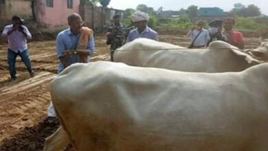 नाना पाटेकर का बिहार से खास नाता, कभी खेत में हल चलाया तो जवानों के बीच सुनाए फिल्मी डायलॉग नाना पाटेकर का बिहार से खास नाता, कभी खेत में हल चलाया तो जवानों के बीच सुनाए फिल्मी डायलॉग