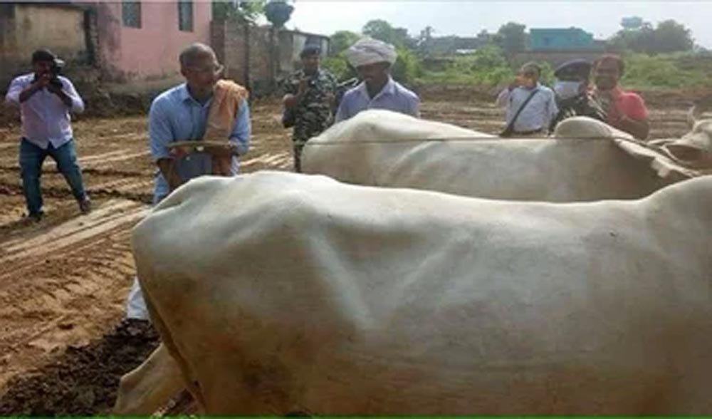 नाना पाटेकर का बिहार से खास नाता, कभी खेत में हल चलाया तो जवानों के बीच सुनाए फिल्मी डायलॉग नाना पाटेकर का बिहार से खास नाता, कभी खेत में हल चलाया तो जवानों के बीच सुनाए फिल्मी डायलॉग