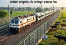 बुधनी-बरखेड़ा रेल लाइन पर ट्रेनों की रफ्तार बढ़ाने की तैयारी, वन्यजीवों के लिए होगी फेंसिंग