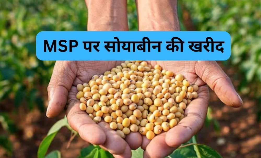 सोयाबीन उपार्जन के लिए किसानों का पंजीयन 3 से 17 अक्टूबर तक सोयाबीन उपार्जन के लिए किसानों का पंजीयन 3 से 17 अक्टूबर तक