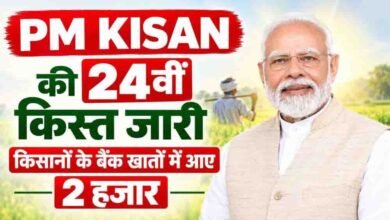 PM किसान की 24वीं किस्त जारी, दिवाली से पहले किसानों को मोदी सरकार की सौगात PM किसान की 24वीं किस्त जारी, दिवाली से पहले किसानों को मोदी सरकार की सौगात