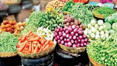रांची में सब्जियों के दाम आसमान पर, झींगा-फरसबिंस 120 रुपये किलो; धनिया 220 तक पहुंचा रांची में सब्जियों के दाम आसमान पर, झींगा-फरसबिंस 120 रुपये किलो; धनिया 220 तक पहुंचा