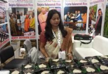 UP International Trade Show 2026 में छाया कालानमक चावल, सिद्धार्थनगर की कुकीज़ ने जीता खरीदारों का ध्यान