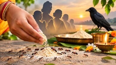 पितृ पक्ष में चीटियों को आटा-चीनी खिलाने से क्या होता है? जानें धार्मिक मान्यताओं से जुड़े रहस्य पितृ पक्ष में चीटियों को आटा-चीनी खिलाने से क्या होता है? जानें धार्मिक मान्यताओं से जुड़े रहस्य