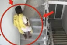 दीपक लोधी की मौत से पहले का फुटेज सामने आया, आखिरी पलों में छत की ओर बढ़ते दिखे