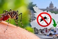बिहार में डेंगू पर बड़ी राहत! इस साल अब तक एक भी मौत नहीं, मामलों में भी भारी गिरावट