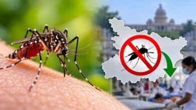बिहार में डेंगू पर बड़ी राहत! इस साल अब तक एक भी मौत नहीं, मामलों में भी भारी गिरावट बिहार में डेंगू पर बड़ी राहत! इस साल अब तक एक भी मौत नहीं, मामलों में भी भारी गिरावट