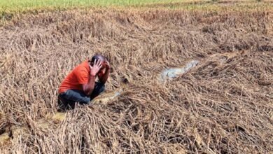 बस्तर में बाढ़ और तूफान से 4 हजार हेक्टेयर धान बर्बाद, किसानों को मिलेगा ₹10 हजार प्रति एकड़ मुआवजा