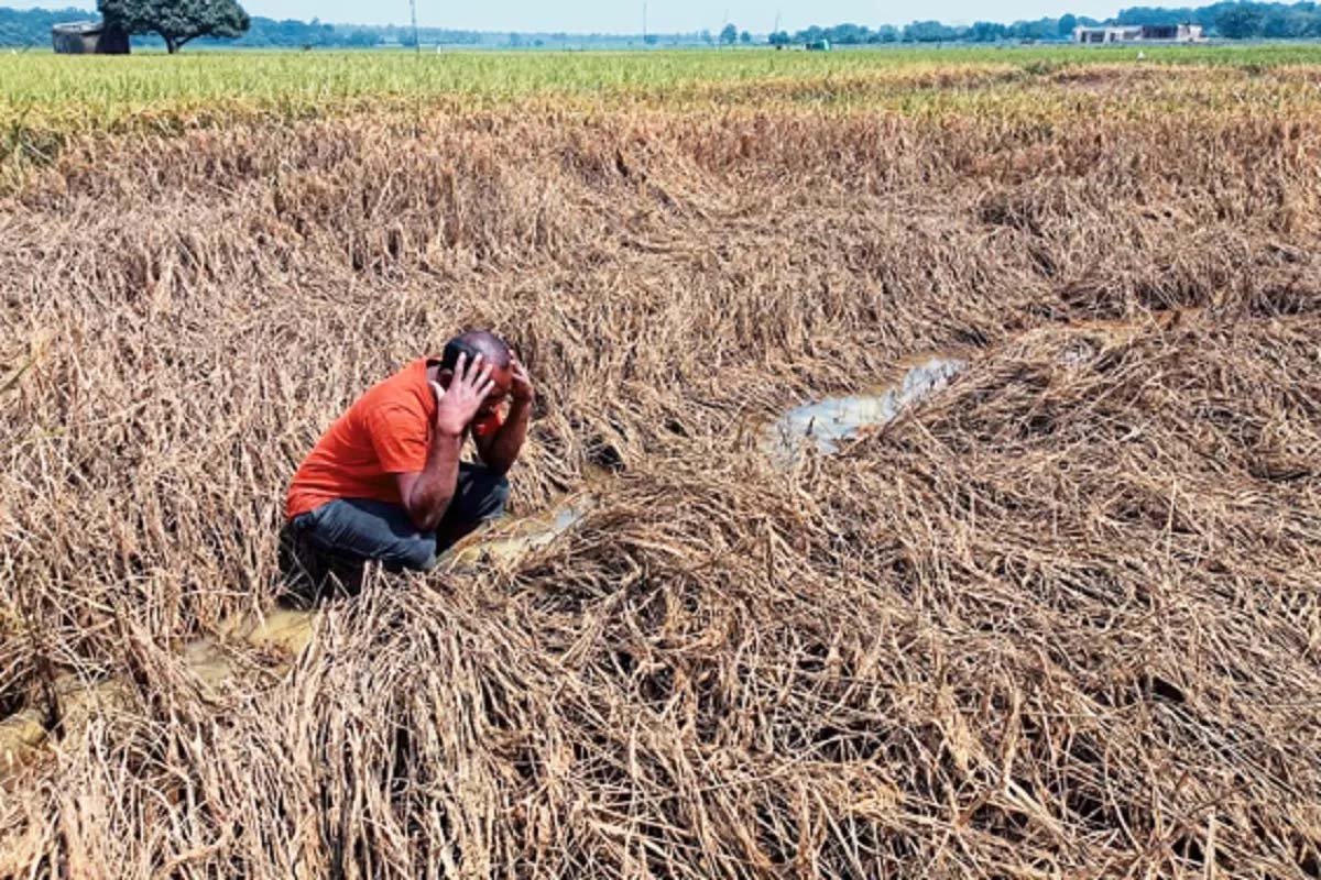 बस्तर में बाढ़ और तूफान से 4 हजार हेक्टेयर धान बर्बाद, किसानों को मिलेगा ₹10 हजार प्रति एकड़ मुआवजा बस्तर में बाढ़ और तूफान से 4 हजार हेक्टेयर धान बर्बाद, किसानों को मिलेगा ₹10 हजार प्रति एकड़ मुआवजा