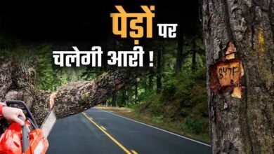 भोपाल मास्टर प्लान 2047 पर पर्यावरण की चिंता, 791 किमी सड़क नेटवर्क के लिए 2.89 लाख पेड़ों पर खतरा भोपाल मास्टर प्लान 2047 पर पर्यावरण की चिंता, 791 किमी सड़क नेटवर्क के लिए 2.89 लाख पेड़ों पर खतरा