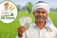 PM Kisan 24वीं किस्त पर बड़ा अपडेट, अक्टूबर में खाते में आ सकते हैं ₹2,000; जानें पूरी डिटेल
