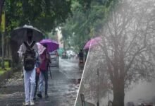 MP Weather: गुलाबी ठंड ने दी दस्तक, पश्चिमी विक्षोभ होगा सक्रिय; कई राज्यों में बारिश के आसार