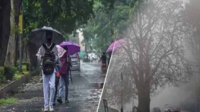 MP Weather: गुलाबी ठंड ने दी दस्तक, पश्चिमी विक्षोभ होगा सक्रिय; कई राज्यों में बारिश के आसार MP Weather: गुलाबी ठंड ने दी दस्तक, पश्चिमी विक्षोभ होगा सक्रिय; कई राज्यों में बारिश के आसार