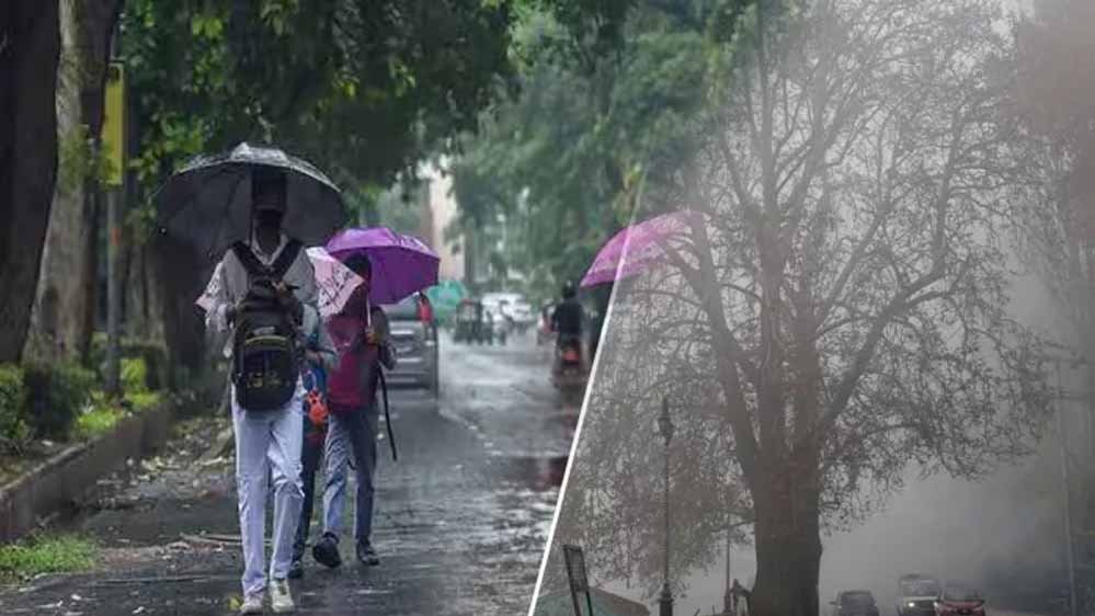 MP Weather: गुलाबी ठंड ने दी दस्तक, पश्चिमी विक्षोभ होगा सक्रिय; कई राज्यों में बारिश के आसार MP Weather: गुलाबी ठंड ने दी दस्तक, पश्चिमी विक्षोभ होगा सक्रिय; कई राज्यों में बारिश के आसार