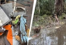 Nigeria Aircraft Crash: नाइजीरिया में बड़ा विमान हादसा, 32 यात्रियों और क्रू की मौत