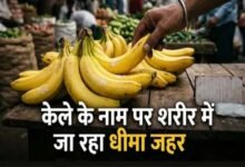 नवरात्र में केले की बढ़ी मांग, केमिकल से पकाने का खतरा! खरीदते समय इन बातों का रखें ध्यान