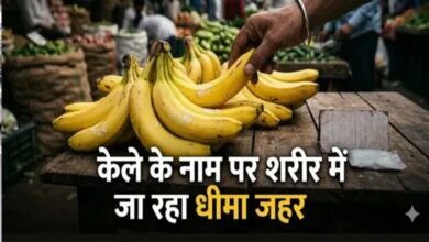 नवरात्र में केले की बढ़ी मांग, केमिकल से पकाने का खतरा! खरीदते समय इन बातों का रखें ध्यान
