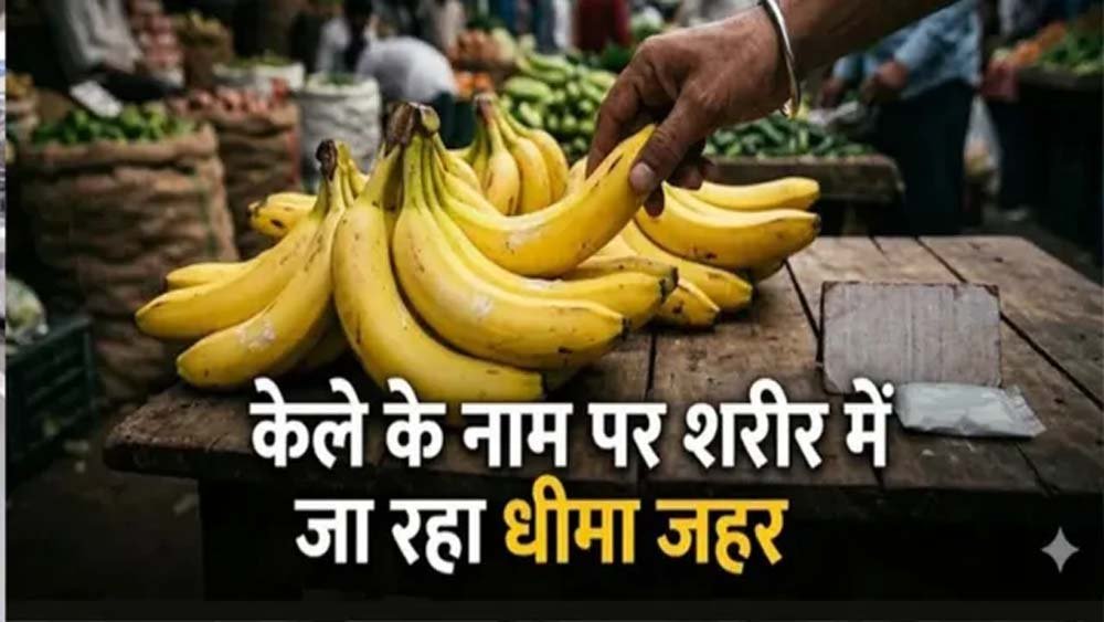 नवरात्र में केले की बढ़ी मांग, केमिकल से पकाने का खतरा! खरीदते समय इन बातों का रखें ध्यान नवरात्र में केले की बढ़ी मांग, केमिकल से पकाने का खतरा! खरीदते समय इन बातों का रखें ध्यान
