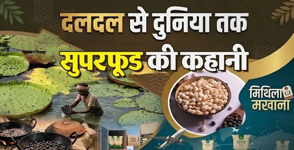 बिहार के मखाने का दुनिया में दबदबा, तालाबों से निकलकर न्यूयॉर्क-लंदन तक पहुंचा मिथिला का ‘सफेद मोती’ बिहार के मखाने का दुनिया में दबदबा, तालाबों से निकलकर न्यूयॉर्क-लंदन तक पहुंचा मिथिला का ‘सफेद मोती’