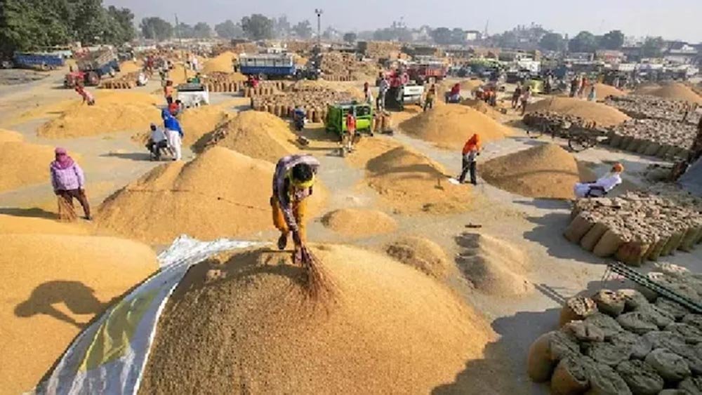 हरियाणा में धान खरीद को लेकर किसानों का फूटा गुस्सा, जींद में लगाया जाम; अंबाला मंडियों में पुलिस तैनात हरियाणा में धान खरीद को लेकर किसानों का फूटा गुस्सा, जींद में लगाया जाम; अंबाला मंडियों में पुलिस तैनात