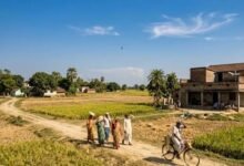 बिहार में देर से पड़ेगी कड़ाके की ठंड! अक्टूबर-दिसंबर तक सामान्य से ऊपर रहेगा तापमान, जानें मौसम का पूरा अपडेट