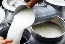 बिहार में डेयरी फार्म खोलने पर मिलेगी 75% तक सब्सिडी, सरकार दे रही 8 लाख रुपये से ज्यादा की मदद