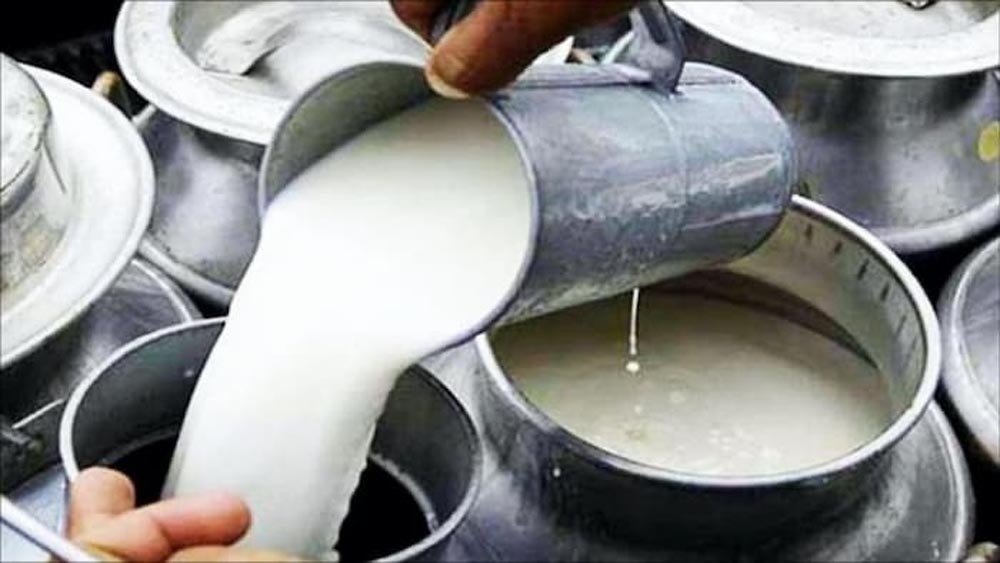 बिहार में डेयरी फार्म खोलने पर मिलेगी 75% तक सब्सिडी, सरकार दे रही 8 लाख रुपये से ज्यादा की मदद बिहार में डेयरी फार्म खोलने पर मिलेगी 75% तक सब्सिडी, सरकार दे रही 8 लाख रुपये से ज्यादा की मदद
