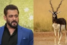 ‘काला हिरण’ फिल्म विवाद में सलमान खान से जवाब तलब, दिल्ली हाईकोर्ट में फिर गरमाया