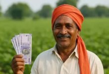 शाहपुर में बाढ़ प्रभावित किसानों को दशहरा का तोहफा, 20 हजार से अधिक खातों में पहुंचे रुपये