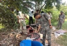 पलामू में दुर्गा पूजा से पहले पुलिस की बड़ी कार्रवाई, कई गांवों में अवैध महुआ शराब नष्ट