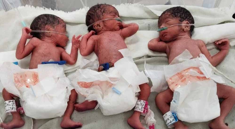 शहडोल में 10 मिनट के भीतर गूंजीं तीन किलकारियां, 20 साल की महिला ने दिया 3 बच्चों को जन्म शहडोल में 10 मिनट के भीतर गूंजीं तीन किलकारियां, 20 साल की महिला ने दिया 3 बच्चों को जन्म