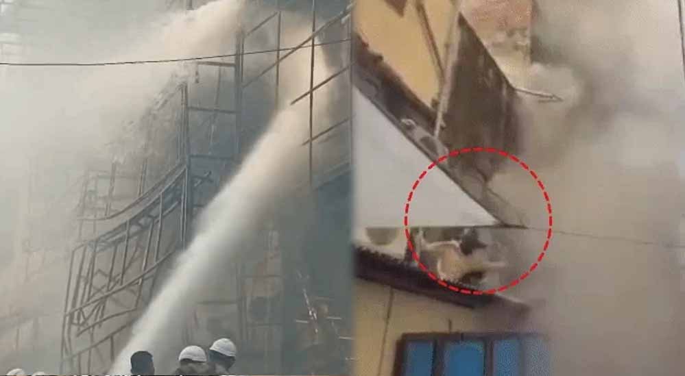 भोपाल के न्यू मार्केट में भीषण आग, 1 किमी दूर फायर स्टेशन फिर भी आधे घंटे में पहुंची दमकल भोपाल के न्यू मार्केट में भीषण आग, 1 किमी दूर फायर स्टेशन फिर भी आधे घंटे में पहुंची दमकल