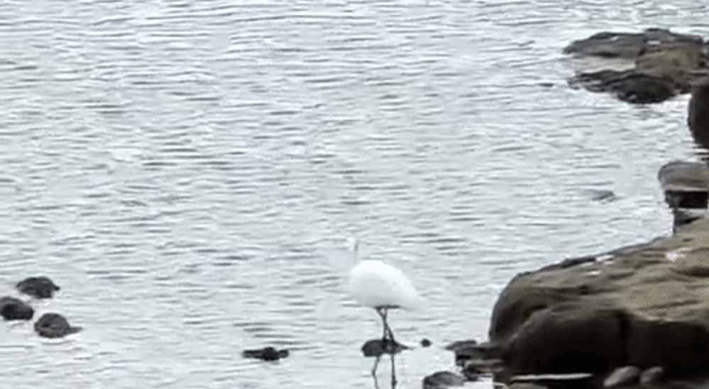 MP में मौसम का कहर: 2025 में मौसमी घटनाओं से 537 लोगों की मौत, शहरों से गांवों तक खतरा MP में मौसम का कहर: 2025 में मौसमी घटनाओं से 537 लोगों की मौत, शहरों से गांवों तक खतरा