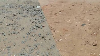 मुरैना में महापौर बीजेपी की, विधायक कांग्रेस के, फिर भी विकास की राह देख रहा शहर