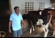 एक गाय से शुरू हुआ सफर, आज 10 पशुओं का समृद्ध पशुधन