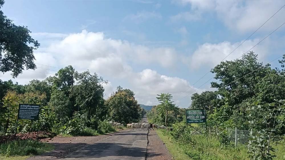 CG से मानसून की विदाई शुरू, दिन का तापमान बढ़ने से गर्मी बढ़ी CG से मानसून की विदाई शुरू, दिन का तापमान बढ़ने से गर्मी बढ़ी