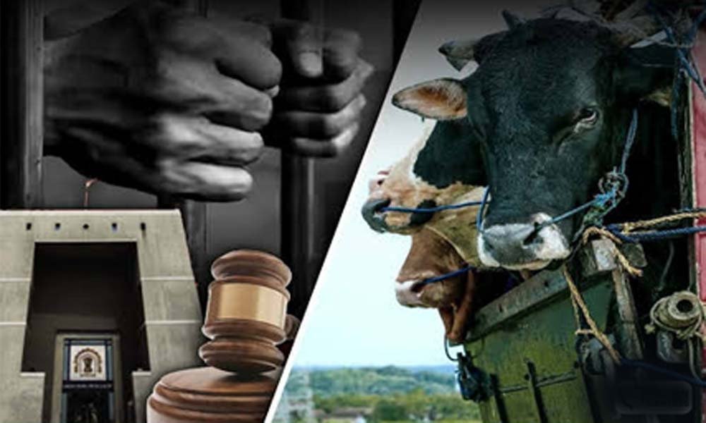 छत्तीसगढ़ में गौ हत्या के आरोपियों का केस नहीं लड़ेंगे वकील, लिखित पत्र जारी