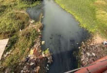 CG हाईकोर्ट की सख्ती, पूछा- 4 STP से कैसे साफ होगा अरपा नदी में गिरने वाले 70 नालों का पानी?