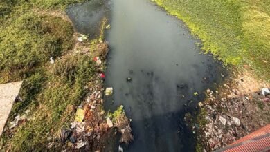 CG हाईकोर्ट की सख्ती, पूछा- 4 STP से कैसे साफ होगा अरपा नदी में गिरने वाले 70 नालों का पानी? CG हाईकोर्ट की सख्ती, पूछा- 4 STP से कैसे साफ होगा अरपा नदी में गिरने वाले 70 नालों का पानी?