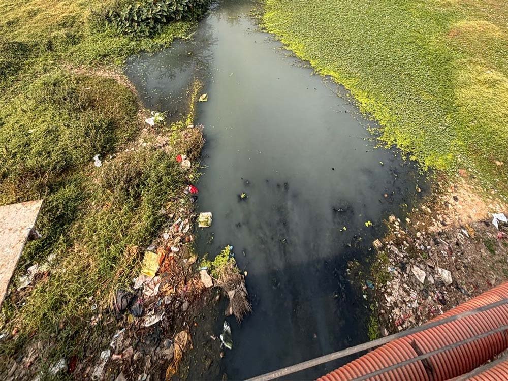 CG हाईकोर्ट की सख्ती, पूछा- 4 STP से कैसे साफ होगा अरपा नदी में गिरने वाले 70 नालों का पानी? CG हाईकोर्ट की सख्ती, पूछा- 4 STP से कैसे साफ होगा अरपा नदी में गिरने वाले 70 नालों का पानी?