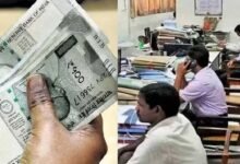 छत्तीसगढ़ के सरकारी कर्मचारियों को दिवाली का तोहफा, नवंबर से 2% बढ़ा DA